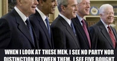 stupids